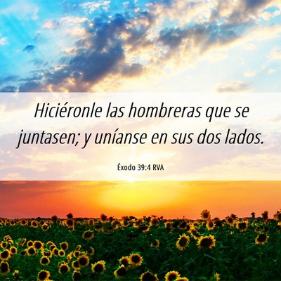 Picture 06 - Éxodo 39:4 RVA - Hiciéronle las hombreras que se juntasen; y - Bible Verse Picture