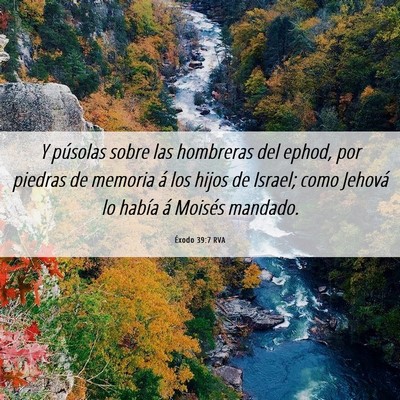 Picture 06 - Éxodo 39:7 RVA - Y púsolas sobre las hombreras del ephod, por - Bible Verse Picture