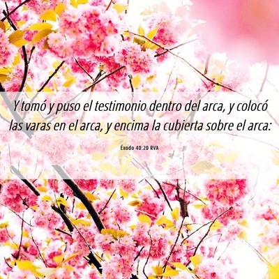 Picture 06 - Éxodo 40:20 RVA - Y tomó y puso el testimonio dentro del arca, y - Bible Verse Picture