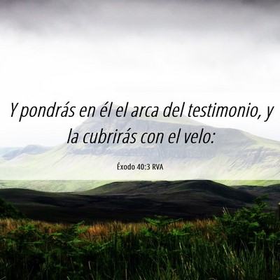 Picture 06 - Éxodo 40:3 RVA - Y pondrás en él el arca del testimonio, y la - Bible Verse Picture
