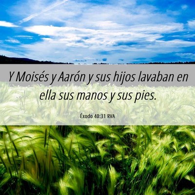 Picture 06 - Éxodo 40:31 RVA - Y Moisés y Aarón y sus hijos lavaban en ella - Bible Verse Picture
