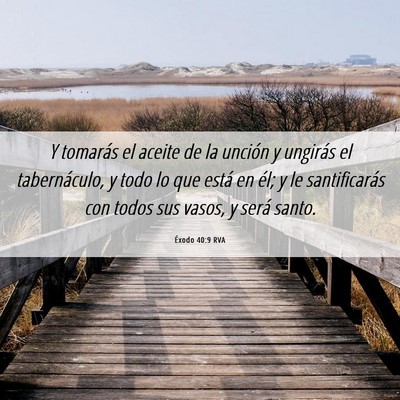 Picture 06 - Éxodo 40:9 RVA - Y tomarás el aceite de la unción y ungirás el - Bible Verse Picture