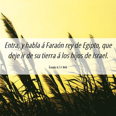 Picture 06 - Éxodo 6:11 RVA - Entra, y habla á Faraón rey de Egipto, que deje - Bible Verse Picture