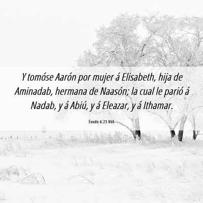 Picture 06 - Éxodo 6:23 RVA - Y tomóse Aarón por mujer á Elisabeth, hija de - Bible Verse Picture