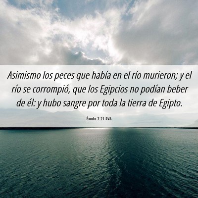 Picture 06 - Éxodo 7:21 RVA - Asimismo los peces que había en el río - Bible Verse Picture