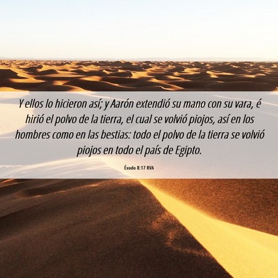Picture 06 - Éxodo 8:17 RVA - Y ellos lo hicieron así; y Aarón extendió su - Bible Verse Picture
