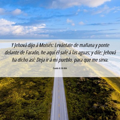 Picture 06 - Éxodo 8:20 RVA - Y Jehová dijo á Moisés: Levántate de mañana - Bible Verse Picture