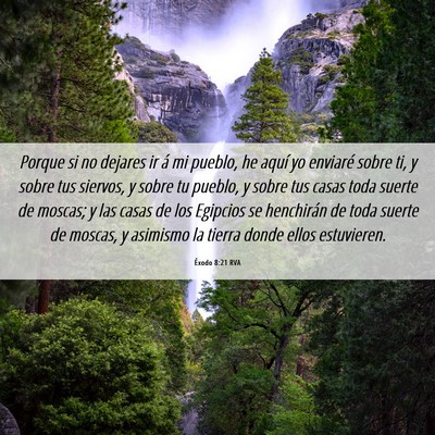 Picture 06 - Éxodo 8:21 RVA - Porque si no dejares ir á mi pueblo, he aquí yo - Bible Verse Picture