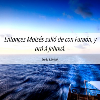 Picture 06 - Éxodo 8:30 RVA - Entonces Moisés salió de con Faraón, y oró á - Bible Verse Picture