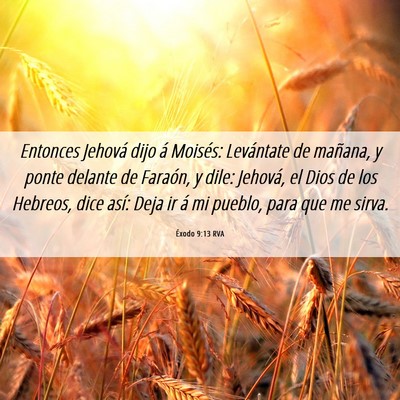 Picture 06 - Éxodo 9:13 RVA - Entonces Jehová dijo á Moisés: Levántate de - Bible Verse Picture