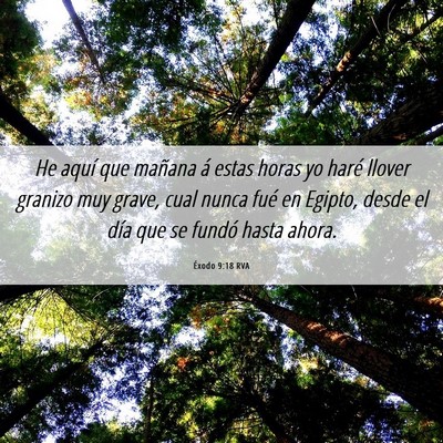 Picture 06 - Éxodo 9:18 RVA - He aquí que mañana á estas horas yo haré - Bible Verse Picture