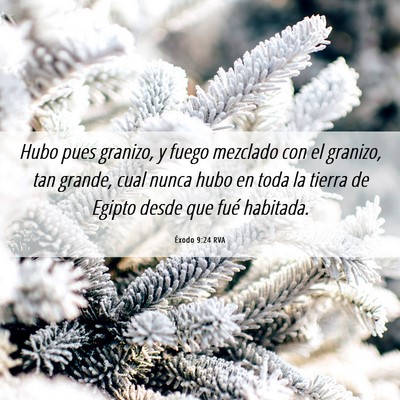 Picture 06 - Éxodo 9:24 RVA - Hubo pues granizo, y fuego mezclado con el - Bible Verse Picture