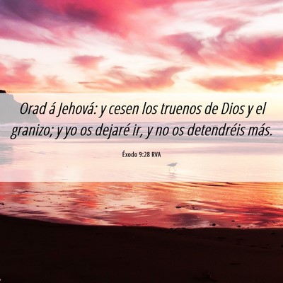 Picture 06 - Éxodo 9:28 RVA - Orad á Jehová: y cesen los truenos de Dios y el - Bible Verse Picture