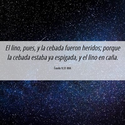 Picture 06 - Éxodo 9:31 RVA - El lino, pues, y la cebada fueron heridos; porque - Bible Verse Picture