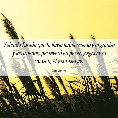 Picture 06 - Éxodo 9:34 RVA - Y viendo Faraón que la lluvia había cesado y el - Bible Verse Picture