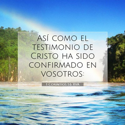 Picture 07 - 1 Corintios 1:6 RVA - Así como el testimonio de Cristo ha sido - Bible Verse Picture