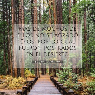 Picture 07 - 1 Corintios 10:5 RVA - Mas de muchos de ellos no se agradó Dios; por lo - Bible Verse Picture