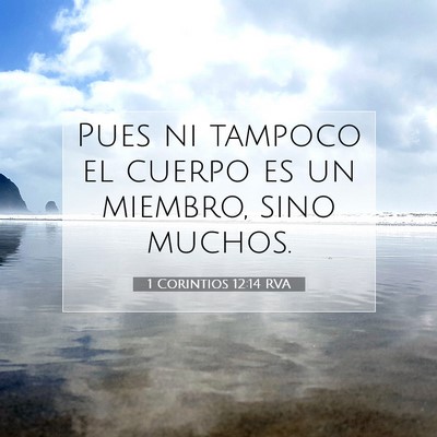 Picture 07 - 1 Corintios 12:14 RVA - Pues ni tampoco el cuerpo es un miembro, sino - Bible Verse Picture