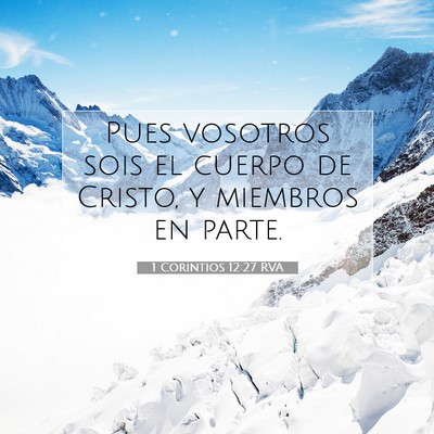 Picture 07 - 1 Corintios 12:27 RVA - Pues vosotros sois el cuerpo de Cristo, y - Bible Verse Picture