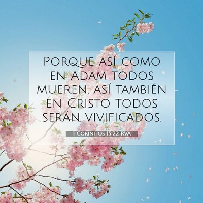 Picture 07 - 1 Corintios 15:22 RVA - Porque así como en Adam todos mueren, así - Bible Verse Picture