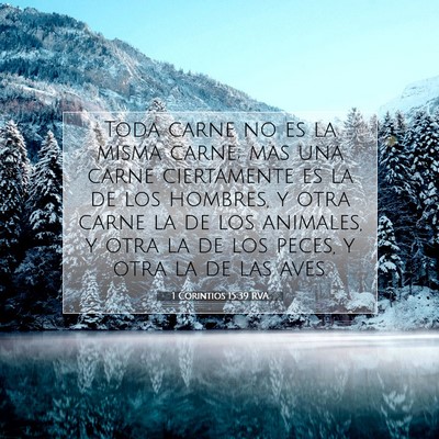 Picture 07 - 1 Corintios 15:39 RVA - Toda carne no es la misma carne; mas una carne - Bible Verse Picture