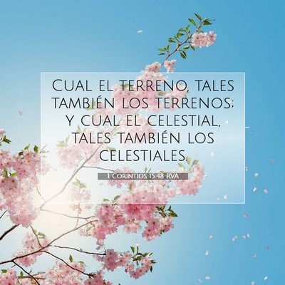 Picture 07 - 1 Corintios 15:48 RVA - Cual el terreno, tales también los terrenos; y - Bible Verse Picture