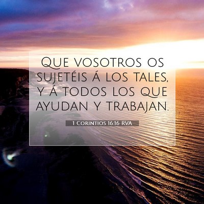 Picture 07 - 1 Corintios 16:16 RVA - Que vosotros os sujetéis á los tales, y á - Bible Verse Picture