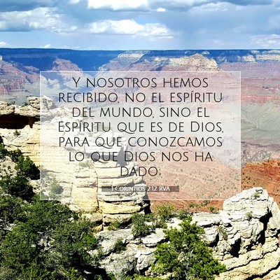 Picture 07 - 1 Corintios 2:12 RVA - Y nosotros hemos recibido, no el espíritu del - Bible Verse Picture