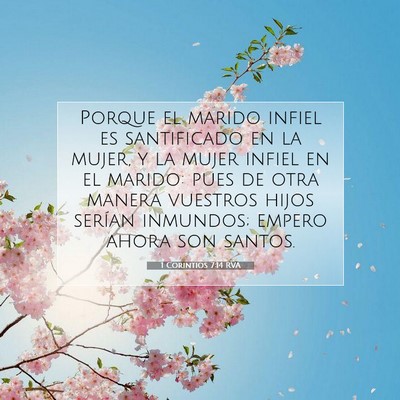 Picture 07 - 1 Corintios 7:14 RVA - Porque el marido infiel es santificado en la - Bible Verse Picture