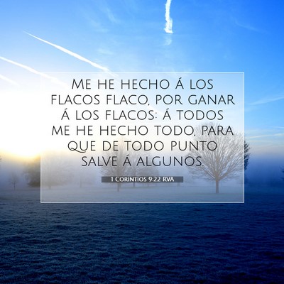 Picture 07 - 1 Corintios 9:22 RVA - Me he hecho á los flacos flaco, por ganar á los - Bible Verse Picture