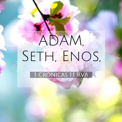 Picture 07 - 1 Crónicas 1:1 RVA - ADAM, Seth, - Bible Verse Picture
