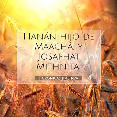 Picture 07 - 1 Crónicas 11:43 RVA - Hanán hijo de Maachâ, y Josaphat - Bible Verse Picture