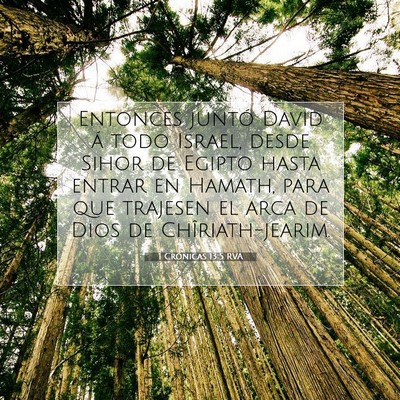 Picture 07 - 1 Crónicas 13:5 RVA - Entonces juntó David á todo Israel, desde Sihor - Bible Verse Picture