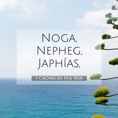Picture 07 - 1 Crónicas 14:6 RVA - Noga, Nepheg, - Bible Verse Picture
