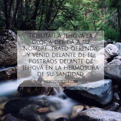 Picture 07 - 1 Crónicas 16:29 RVA - Tributad á Jehová la gloria debida á su - Bible Verse Picture