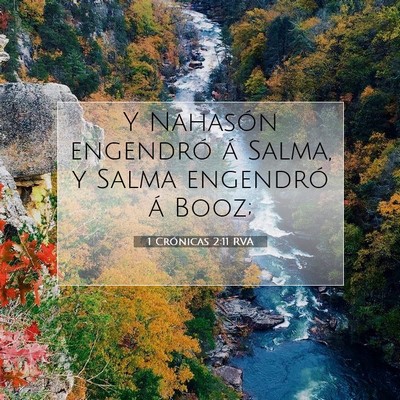 Picture 07 - 1 Crónicas 2:11 RVA - Y Nahasón engendró á Salma, y Salma engendró - Bible Verse Picture