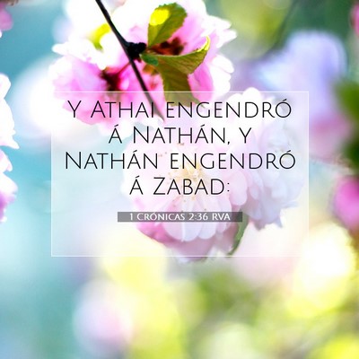 Picture 07 - 1 Crónicas 2:36 RVA - Y Athai engendró á Nathán, y Nathán engendró - Bible Verse Picture