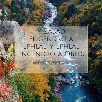 Picture 07 - 1 Crónicas 2:37 RVA - Y Zabad engendró á Ephlal, y Ephlal engendró - Bible Verse Picture