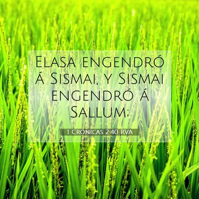 Picture 07 - 1 Crónicas 2:40 RVA - Elasa engendró á Sismai, y Sismai engendró á - Bible Verse Picture