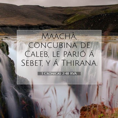 Picture 07 - 1 Crónicas 2:48 RVA - Maachâ, concubina de Caleb, le parió á Sebet, - Bible Verse Picture