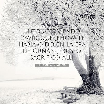 Picture 07 - 1 Crónicas 21:28 RVA - Entonces viendo David que Jehová le había oído - Bible Verse Picture