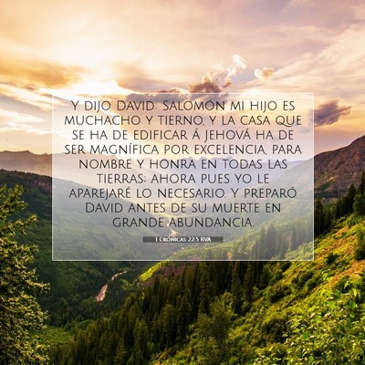 Picture 07 - 1 Crónicas 22:5 RVA - Y dijo David: Salomón mi hijo es muchacho y - Bible Verse Picture