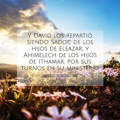 Picture 07 - 1 Crónicas 24:3 RVA - Y David los repartió, siendo Sadoc de los hijos - Bible Verse Picture