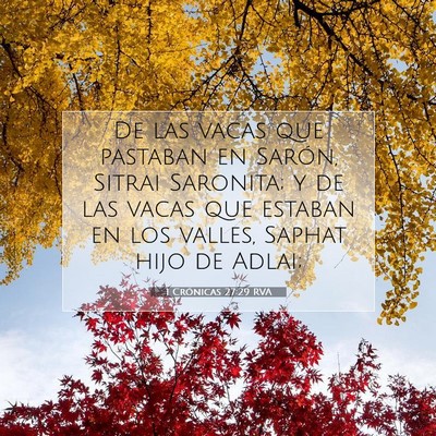 Picture 07 - 1 Crónicas 27:29 RVA - De las vacas que pastaban en Sarón, Sitrai - Bible Verse Picture