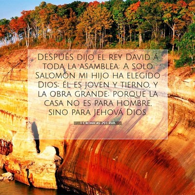 Picture 07 - 1 Crónicas 29:1 RVA - DESPUÉS dijo el rey David á toda la asamblea: A - Bible Verse Picture