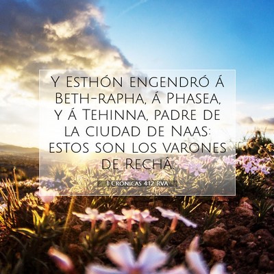Picture 07 - 1 Crónicas 4:12 RVA - Y Esthón engendró á Beth-rapha, á Phasea, y - Bible Verse Picture