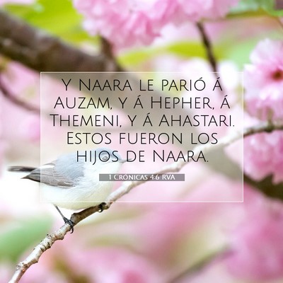 Picture 07 - 1 Crónicas 4:6 RVA - Y Naara le parió á Auzam, y á Hepher, á - Bible Verse Picture