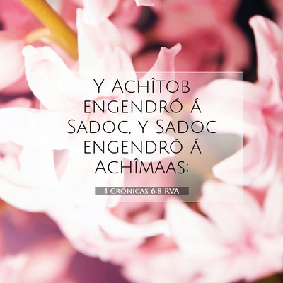 Picture 07 - 1 Crónicas 6:8 RVA - Y Achîtob engendró á Sadoc, y Sadoc engendró - Bible Verse Picture