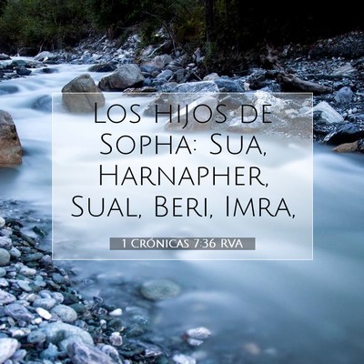 Picture 07 - 1 Crónicas 7:36 RVA - Los hijos de Sopha: Sua, Harnapher, Sual, Beri, - Bible Verse Picture