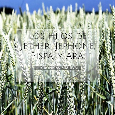 Picture 07 - 1 Crónicas 7:38 RVA - Los hijos de Jether: Jephone, Pispa, y - Bible Verse Picture